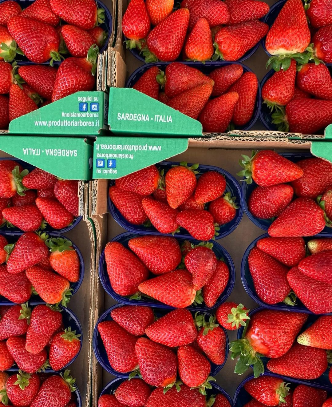 Fragole e pomodorini sardi